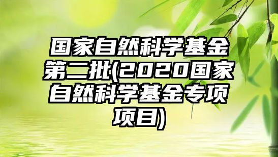 國家自然科學(xué)基金第二批(2020國家自然科學(xué)基金專項項目)