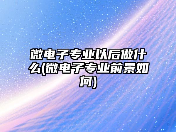 微電子專業(yè)以后做什么(微電子專業(yè)前景如何)