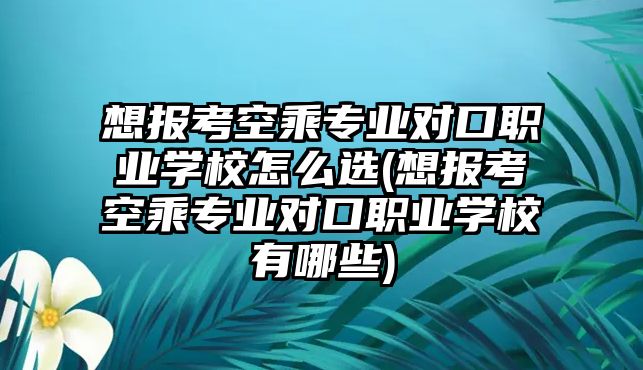 想報(bào)考空乘專業(yè)對(duì)口職業(yè)學(xué)校怎么選(想報(bào)考空乘專業(yè)對(duì)口職業(yè)學(xué)校有哪些)