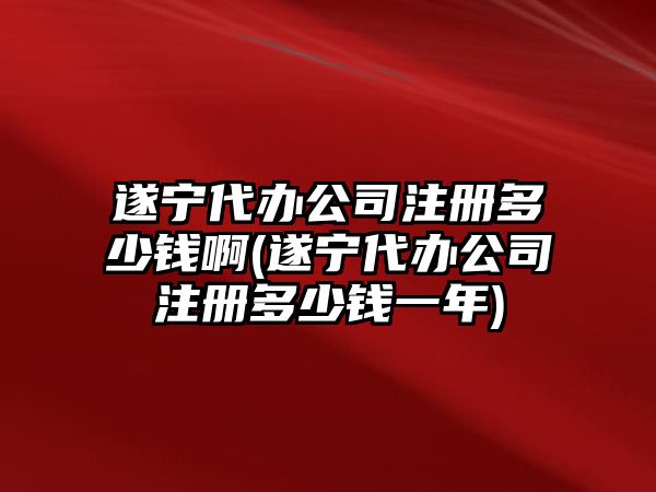 遂寧代辦公司注冊多少錢啊(遂寧代辦公司注冊多少錢一年)