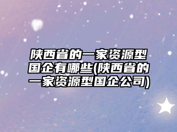 陜西省的一家資源型國企有哪些(陜西省的一家資源型國企公司)