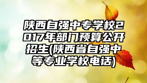 陜西自強中專學(xué)校2017年部門預(yù)算公開招生(陜西省自強中等專業(yè)學(xué)校電話)