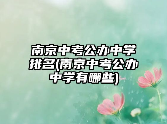 南京中考公辦中學(xué)排名(南京中考公辦中學(xué)有哪些)