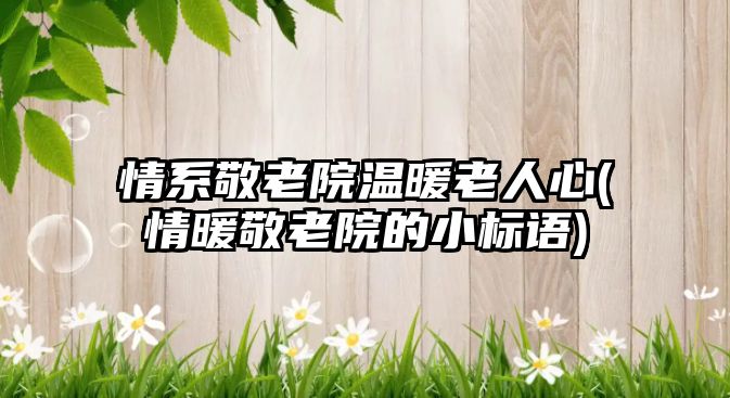 情系敬老院溫暖老人心(情暖敬老院的小標(biāo)語)