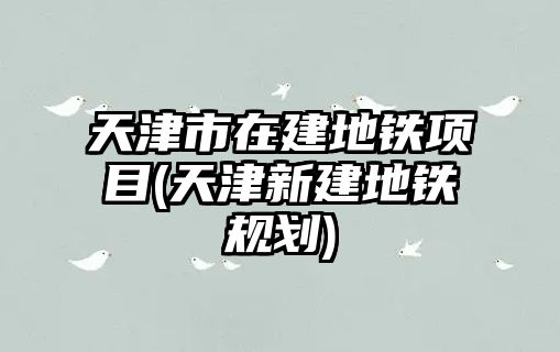 天津市在建地鐵項目(天津新建地鐵規(guī)劃)