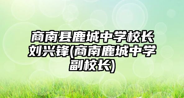 商南縣鹿城中學(xué)校長劉興鋒(商南鹿城中學(xué)副校長)