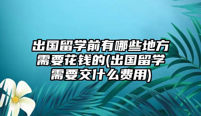 出國留學(xué)前有哪些地方需要花錢的(出國留學(xué)需要交什么費用)