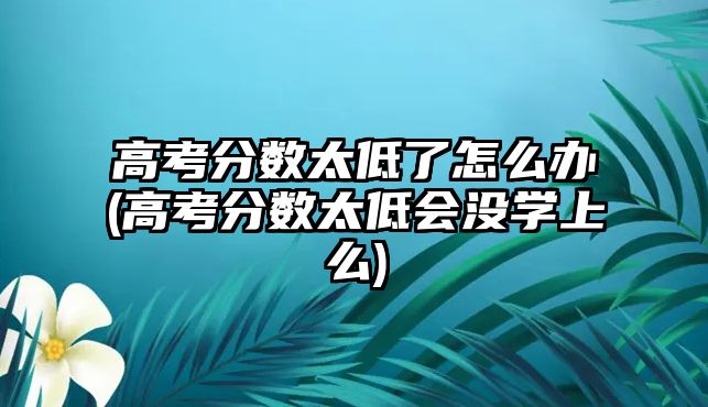 高考分?jǐn)?shù)太低了怎么辦(高考分?jǐn)?shù)太低會(huì)沒(méi)學(xué)上么)