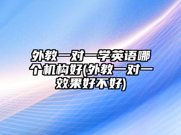 外教一對一學(xué)英語哪個機構(gòu)好(外教一對一效果好不好)