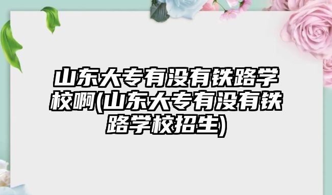 山東大專有沒(méi)有鐵路學(xué)校啊(山東大專有沒(méi)有鐵路學(xué)校招生)