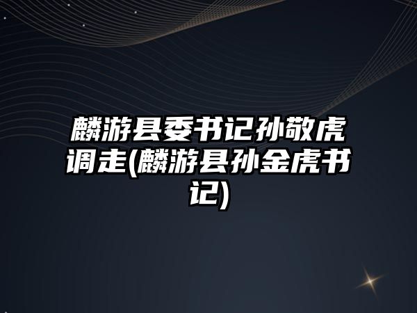 麟游縣委書記孫敬虎調(diào)走(麟游縣孫金虎書記)