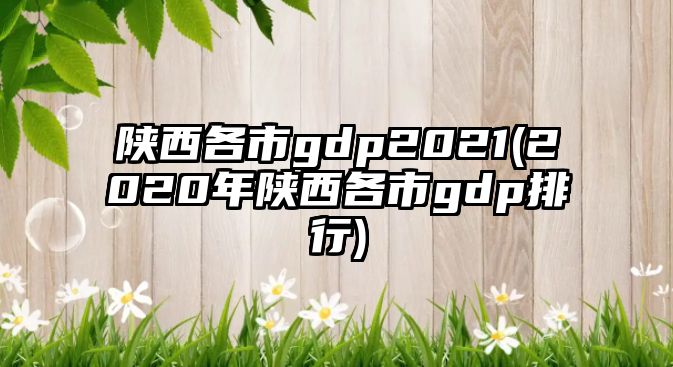 陜西各市g(shù)dp2021(2020年陜西各市g(shù)dp排行)