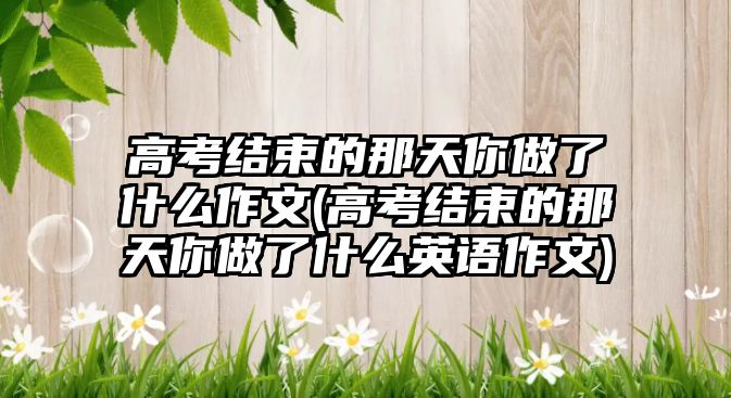 高考結束的那天你做了什么作文(高考結束的那天你做了什么英語作文)