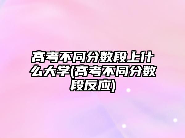 高考不同分?jǐn)?shù)段上什么大學(xué)(高考不同分?jǐn)?shù)段反應(yīng))