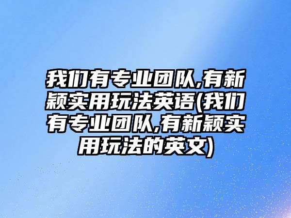 我們有專業(yè)團隊,有新穎實用玩法英語(我們有專業(yè)團隊,有新穎實用玩法的英文)