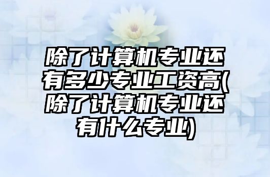 除了計算機專業(yè)還有多少專業(yè)工資高(除了計算機專業(yè)還有什么專業(yè))