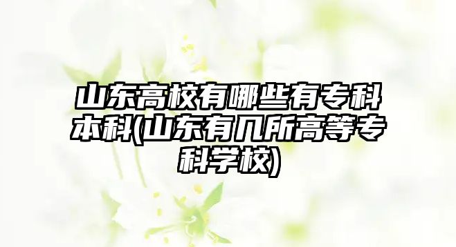 山東高校有哪些有?？票究?山東有幾所高等專科學(xué)校)