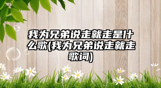 我為兄弟說走就走是什么歌(我為兄弟說走就走歌詞)