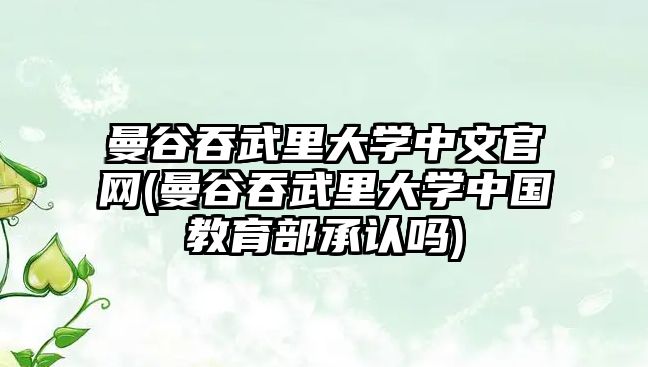 曼谷吞武里大學中文官網(曼谷吞武里大學中國教育部承認嗎)