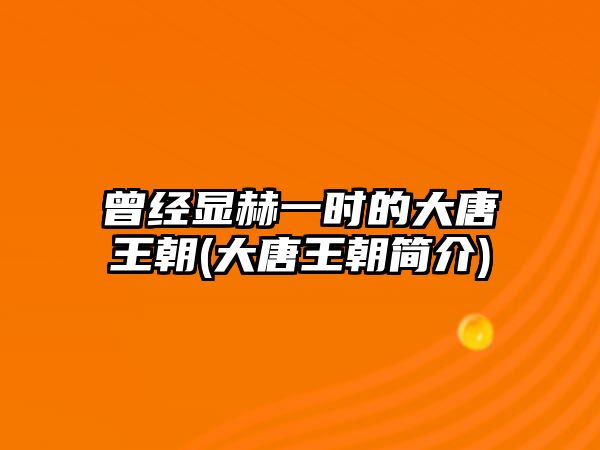 曾經(jīng)顯赫一時(shí)的大唐王朝(大唐王朝簡(jiǎn)介)