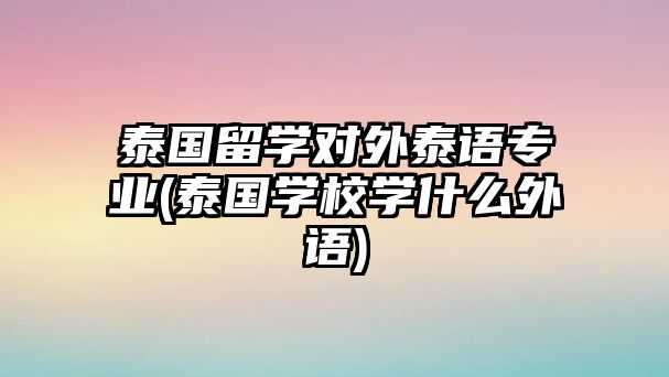 泰國留學(xué)對外泰語專業(yè)(泰國學(xué)校學(xué)什么外語)