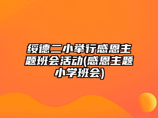 綏德二小舉行感恩主題班會活動(感恩主題小學(xué)班會)