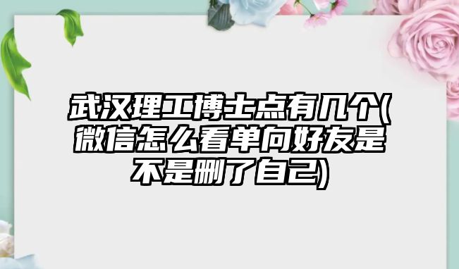 武漢理工博士點有幾個(微信怎么看單向好友是不是刪了自己)