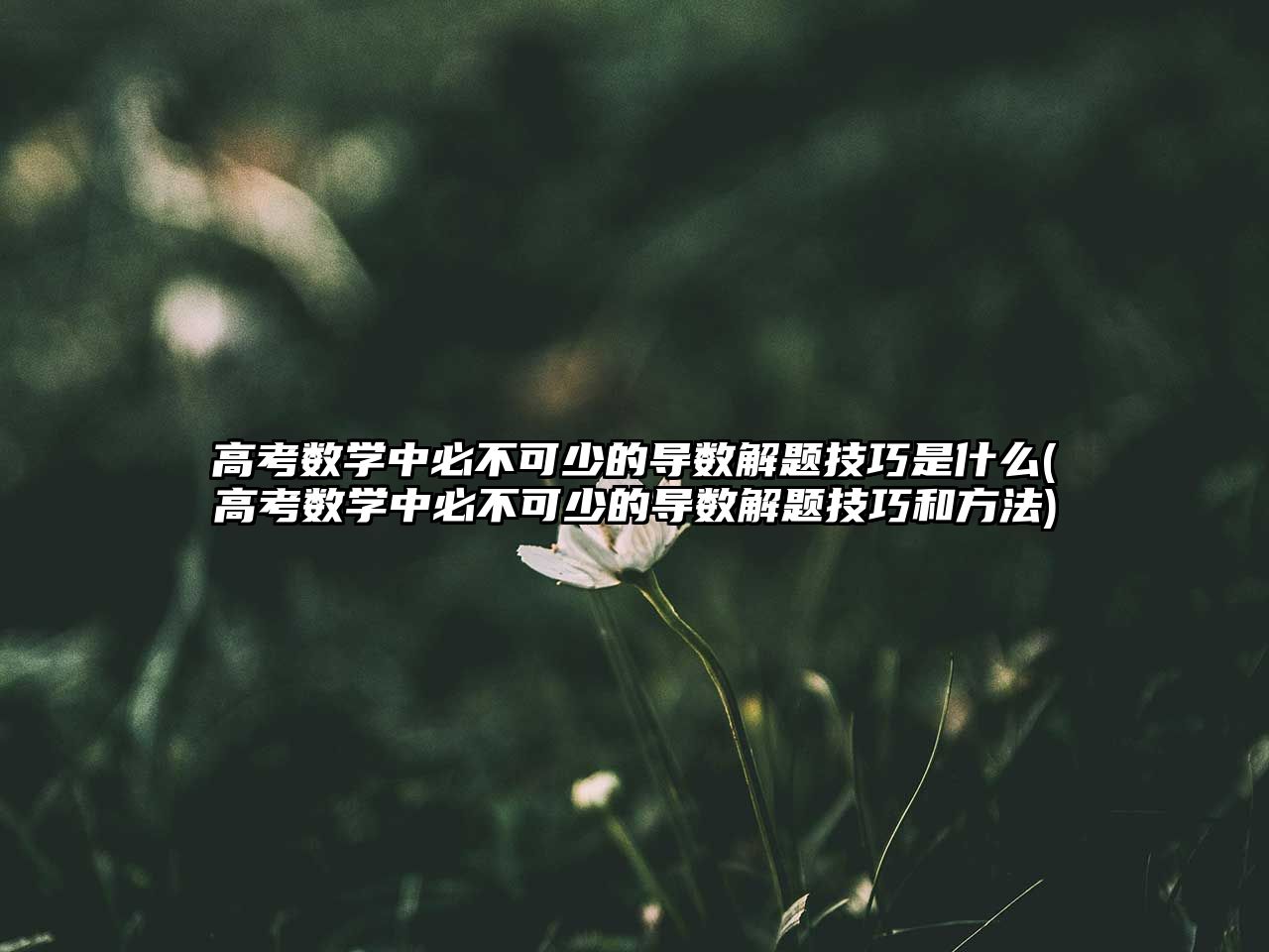 高考數(shù)學(xué)中必不可少的導(dǎo)數(shù)解題技巧是什么(高考數(shù)學(xué)中必不可少的導(dǎo)數(shù)解題技巧和方法)