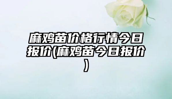 麻雞苗價(jià)格行情今日?qǐng)?bào)價(jià)(麻雞苗今日?qǐng)?bào)價(jià))