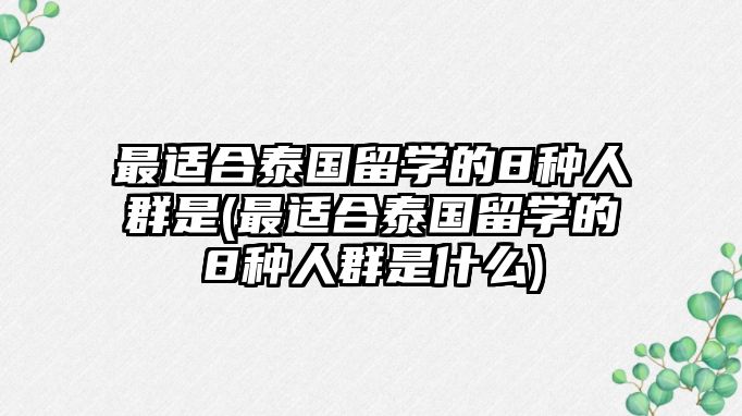 最適合泰國留學(xué)的8種人群是(最適合泰國留學(xué)的8種人群是什么)