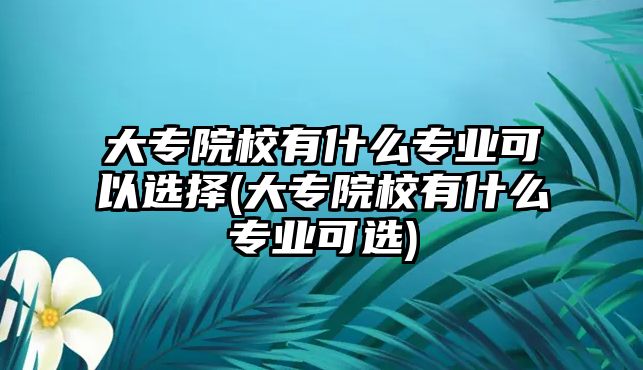 大專院校有什么專業(yè)可以選擇(大專院校有什么專業(yè)可選)