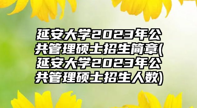 延安大學(xué)2023年公共管理碩士招生簡(jiǎn)章(延安大學(xué)2023年公共管理碩士招生人數(shù))