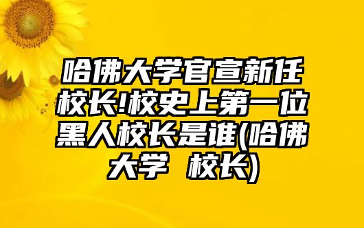 哈佛大學(xué)官宣新任校長(zhǎng)!校史上第一位黑人校長(zhǎng)是誰(shuí)(哈佛大學(xué) 校長(zhǎng))