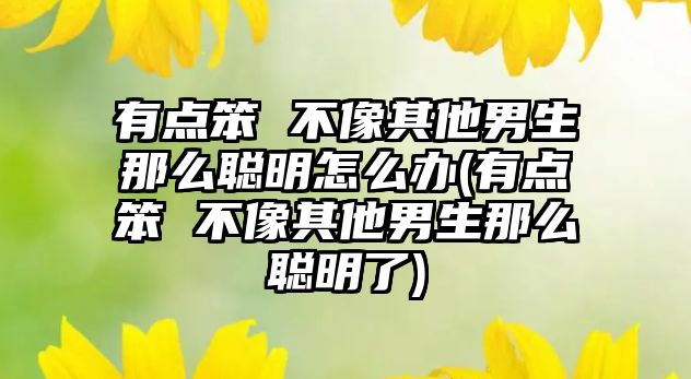 有點(diǎn)笨 不像其他男生那么聰明怎么辦(有點(diǎn)笨 不像其他男生那么聰明了)