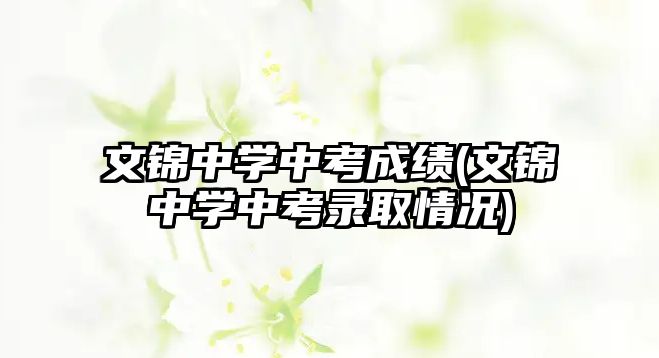 文錦中學(xué)中考成績(文錦中學(xué)中考錄取情況)