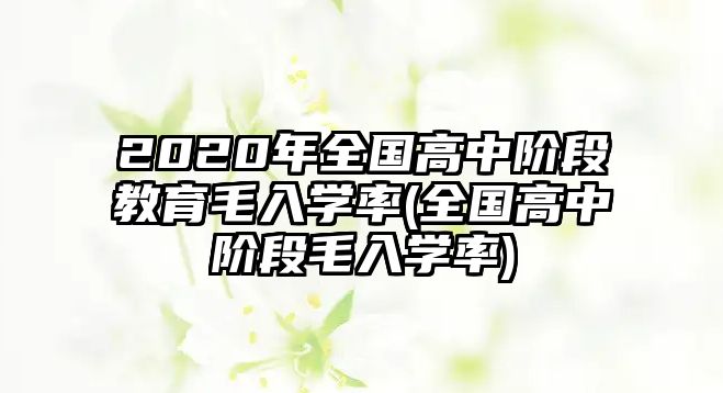 2020年全國(guó)高中階段教育毛入學(xué)率(全國(guó)高中階段毛入學(xué)率)