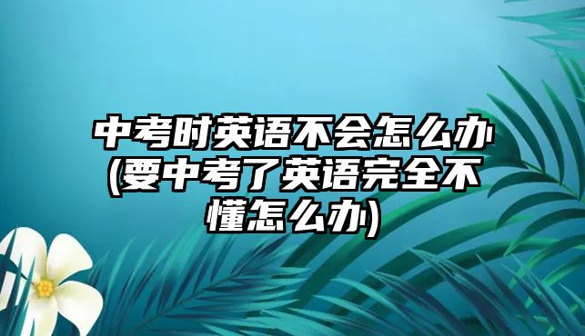 中考時(shí)英語不會(huì)怎么辦(要中考了英語完全不懂怎么辦)