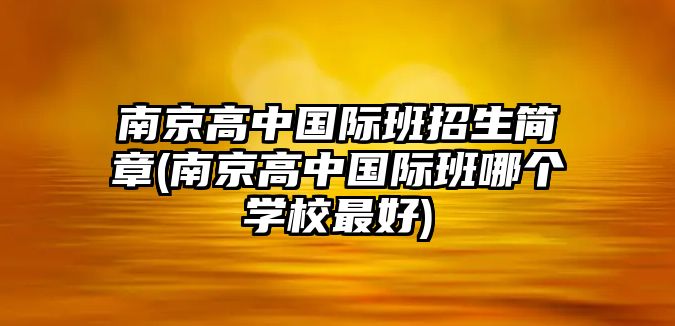 南京高中國際班招生簡章(南京高中國際班哪個學校最好)