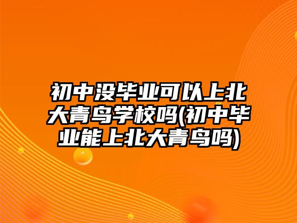 初中沒畢業(yè)可以上北大青鳥學校嗎(初中畢業(yè)能上北大青鳥嗎)