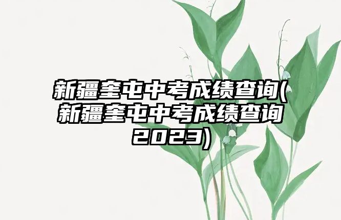 新疆奎屯中考成績查詢(新疆奎屯中考成績查詢2023)