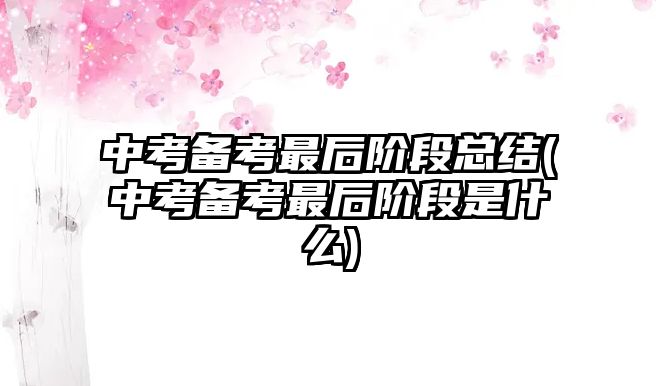 中考備考最后階段總結(jié)(中考備考最后階段是什么)