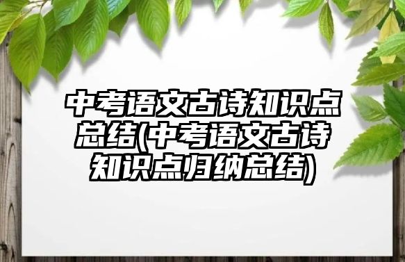 中考語文古詩知識點總結(jié)(中考語文古詩知識點歸納總結(jié))