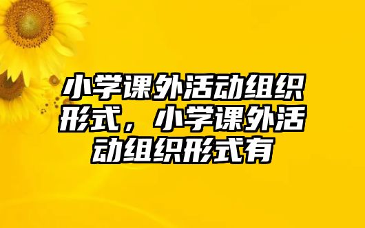 小學(xué)課外活動組織形式，小學(xué)課外活動組織形式有