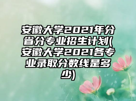 安徽大學(xué)2021年分省分專業(yè)招生計劃(安徽大學(xué)2021各專業(yè)錄取分?jǐn)?shù)線是多少)