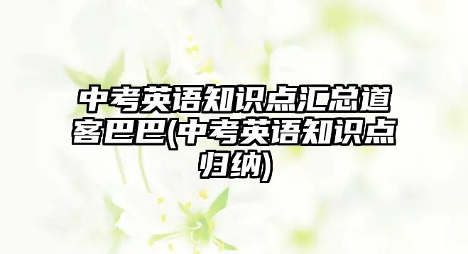 中考英語知識(shí)點(diǎn)匯總道客巴巴(中考英語知識(shí)點(diǎn)歸納)