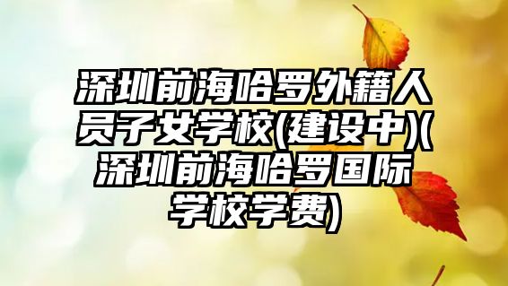 深圳前海哈羅外籍人員子女學(xué)校(建設(shè)中)(深圳前海哈羅國際學(xué)校學(xué)費(fèi))