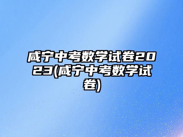 咸寧中考數(shù)學(xué)試卷2023(咸寧中考數(shù)學(xué)試卷)