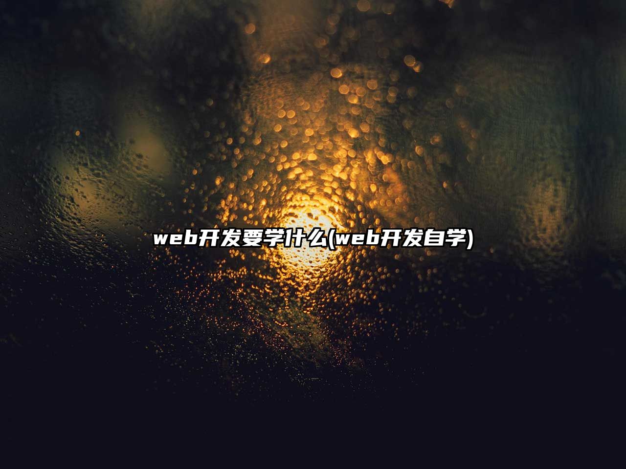 web開發(fā)要學什么(web開發(fā)自學)