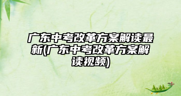 廣東中考改革方案解讀最新(廣東中考改革方案解讀視頻)