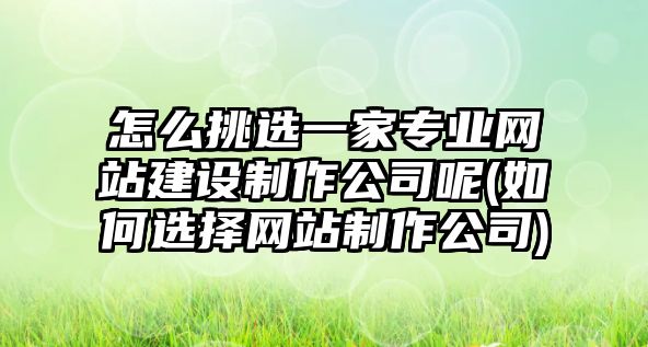 怎么挑選一家專業(yè)網(wǎng)站建設(shè)制作公司呢(如何選擇網(wǎng)站制作公司)